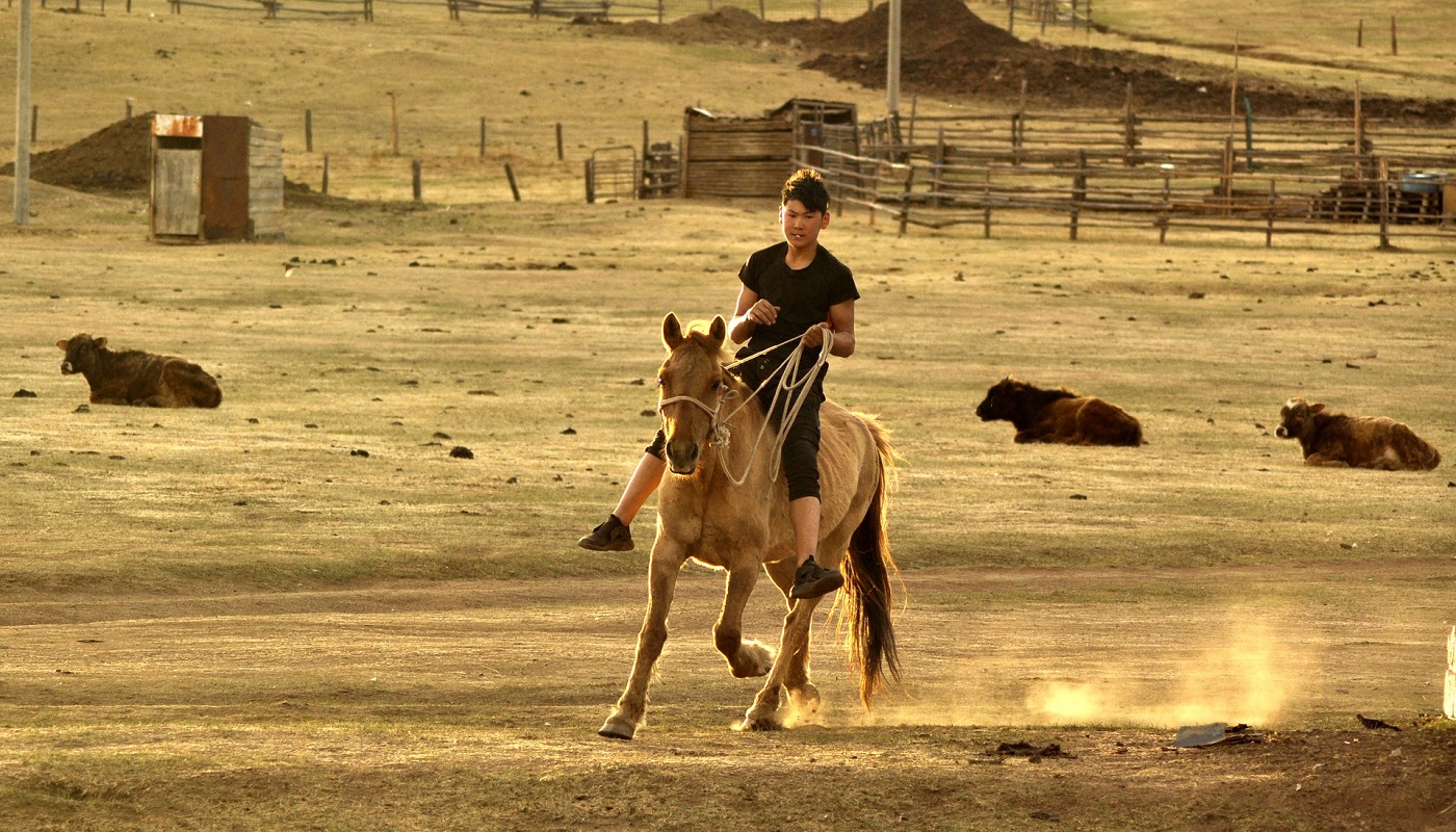 young horse owner